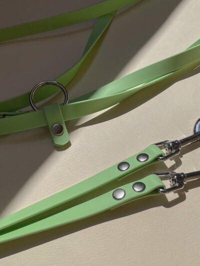 Žalias biotano pavadys