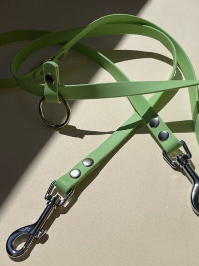 zalias biotano pavadys