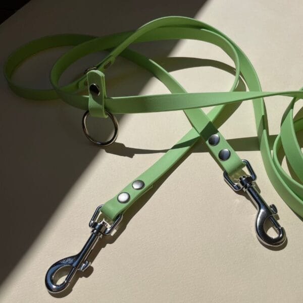 zalias biotano pavadys