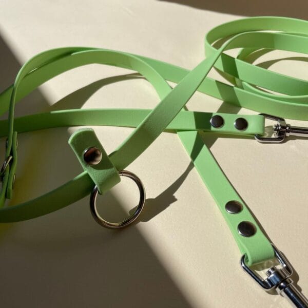 zalias biotano pavadys