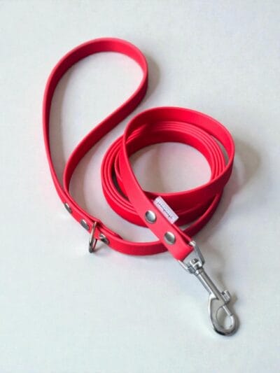 Stroberi pavadėlis šunims su rankena.