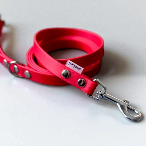 Stroberi pavadėlis šunims su rankena.