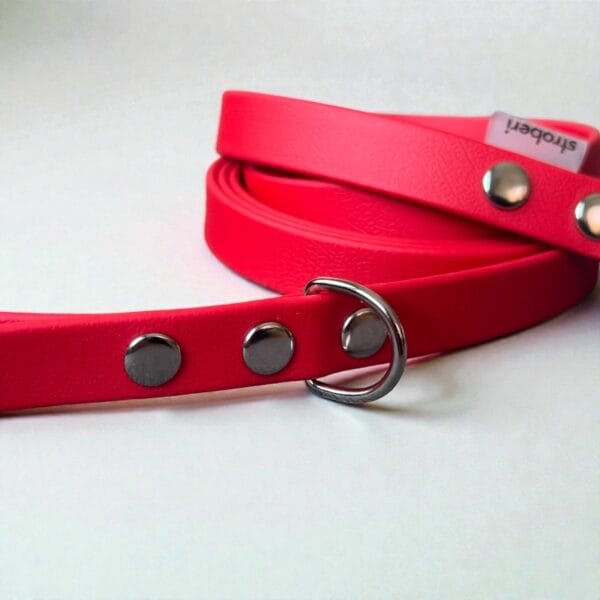 Stroberi pavadėlis šunims su rankena.