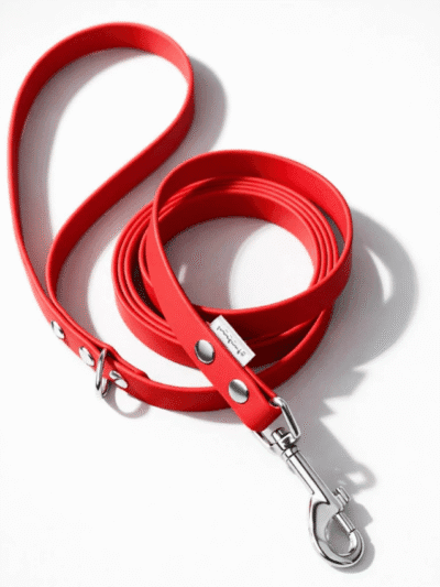 Stroberi pavadėlis šunims