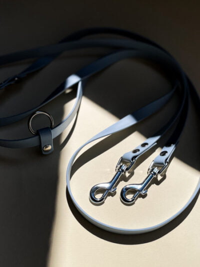 daugiafunkcinis biotano pavadelis