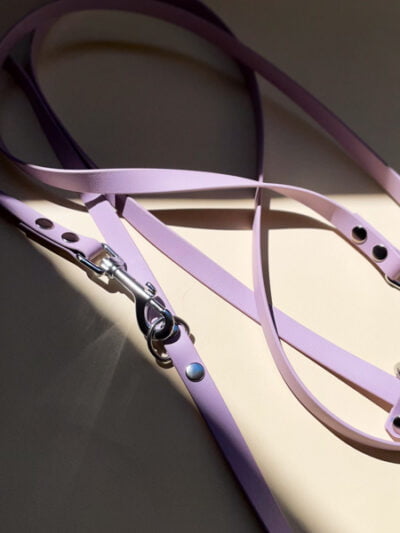 Biotano Alyvinis pavadėlis šunims