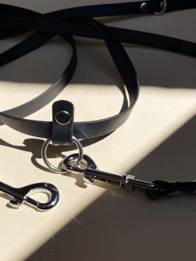 Biotano pavadėlis šunims