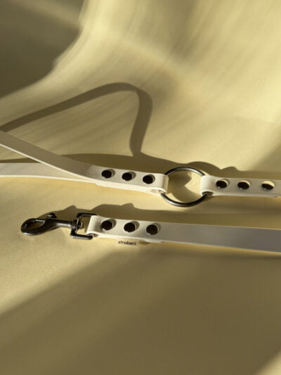 Išskirtinis biotano pavadėlis šunims