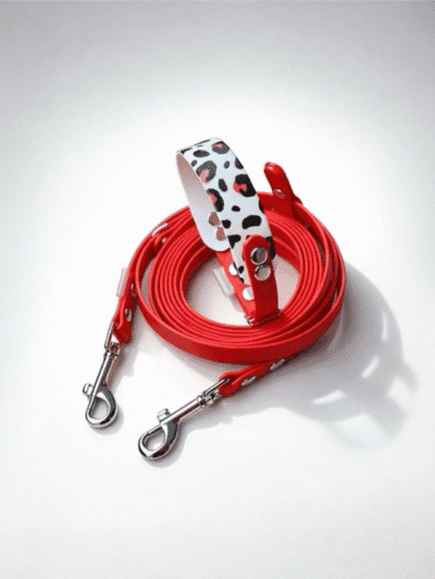 Biotano antkaklis ir pavadėlis