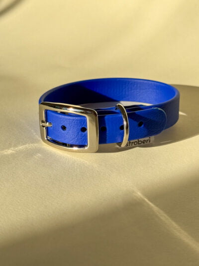 Mažas biotano antkaklis