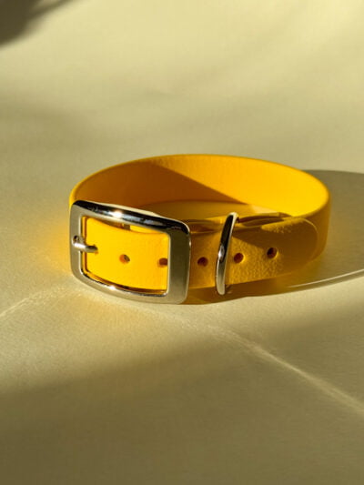 Stroberi geltonas antkaklis