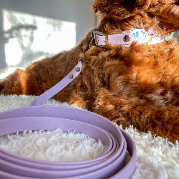 Stroberi pavadėlis ir antkaklis