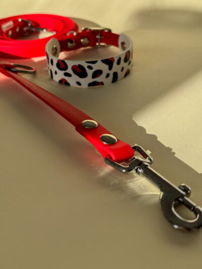 Biotano antkaklis ir pavadėlis