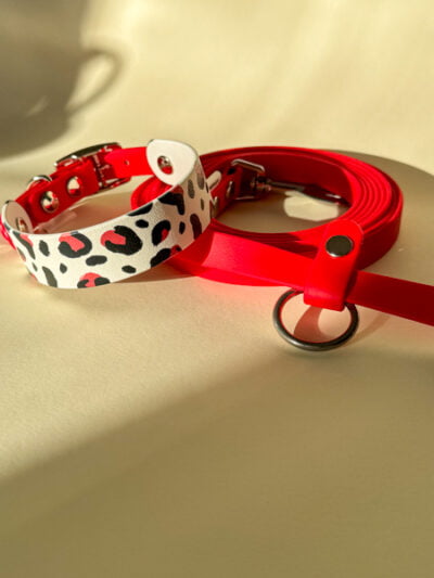 Biotano antkaklis ir pavadėlis