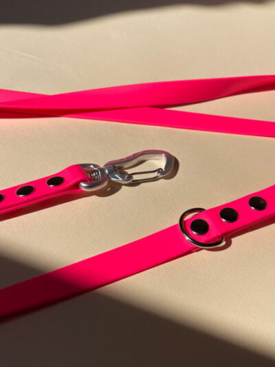 stroberi Stiprus pavadėlis