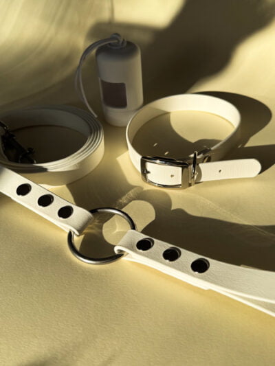 Vestuvinis šuns pavadėlis