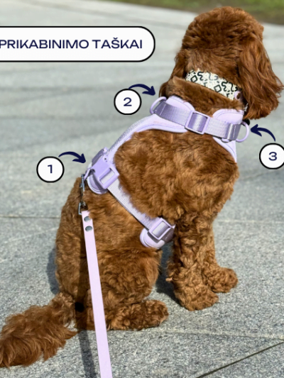 petnešos šunims nuo tempimo