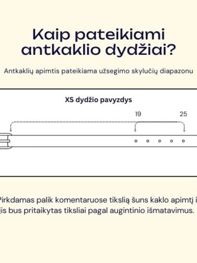 Antkaklio dydis