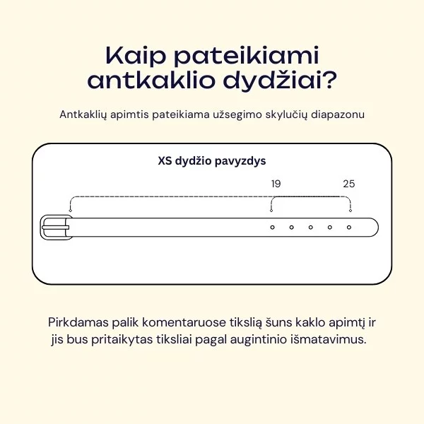 Antkaklio dydis