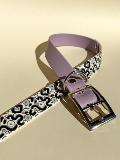 antkakliai dideliems šunims