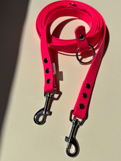 stroberi ryškus pavadėliai sunims