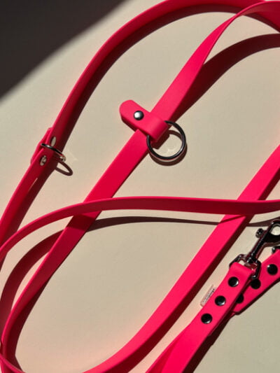 stroberi ryškus pavadėlis