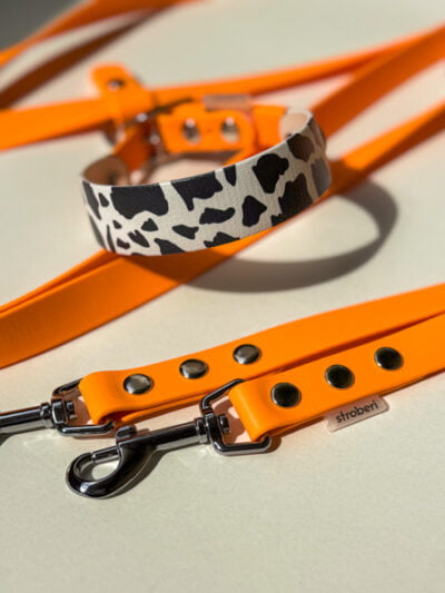 Oranžinis pavadėlis Moo rinkinys