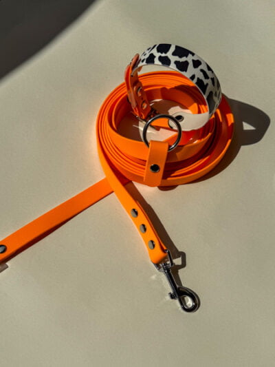 Oranžinis pavadėlis Moo rinkinys