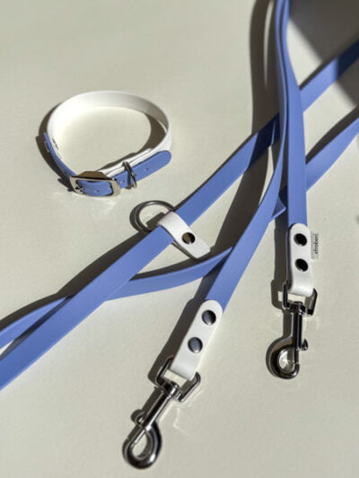 dvispalvis pavadėlis