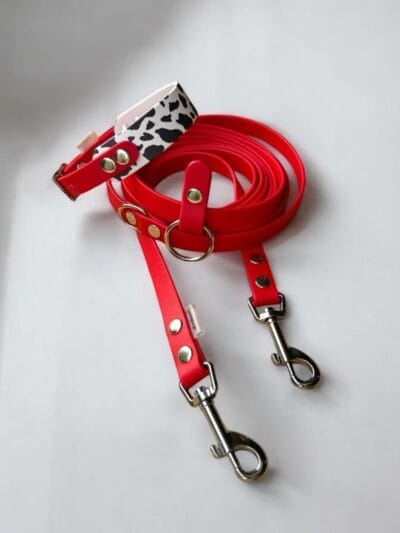 Antkaklio ir pavadėlio rinkinys MOO RED