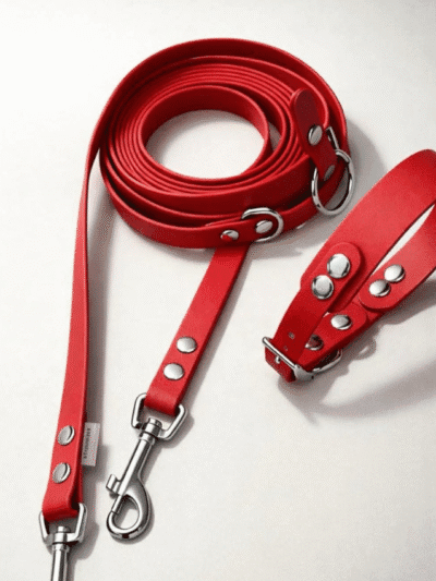 Antkaklio ir pavadėlio rinkinys RED