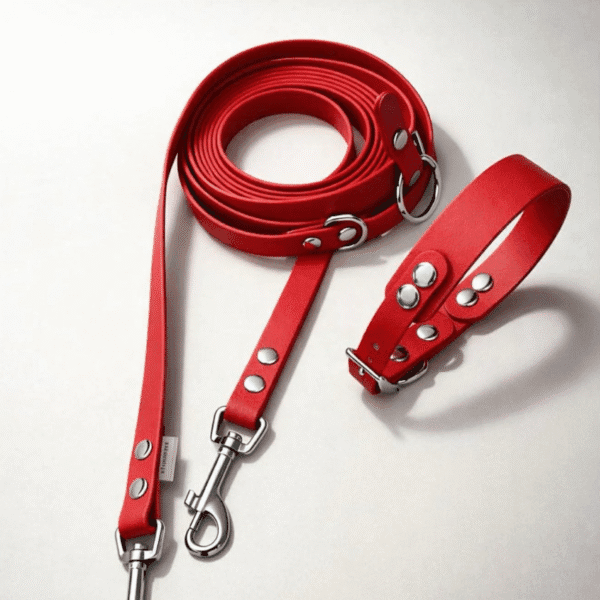 Antkaklio ir pavadėlio rinkinys RED