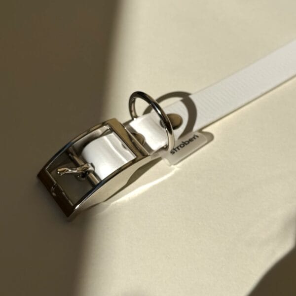 Dvispalvis biotano antkaklis