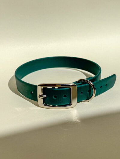 Žalias biotano antkaklis