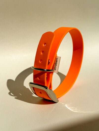 Oranžinis biotano antkaklis