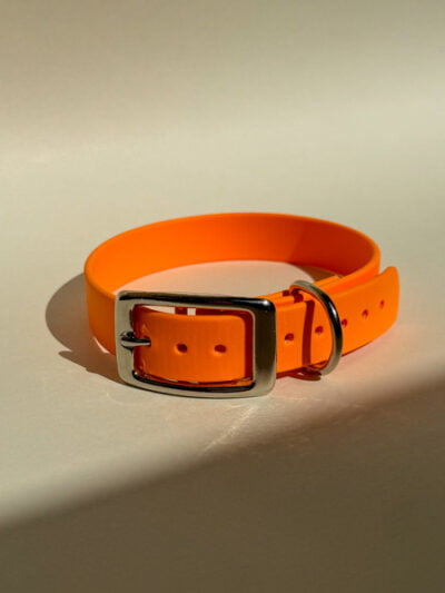 Oranžinis biotano antkaklis