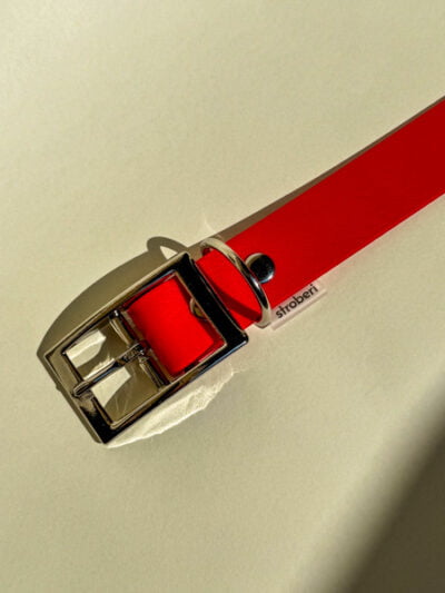 Raudonas biotano antkaklis