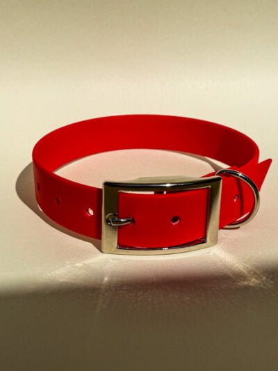 Raudonas biotano antkaklis