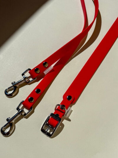 Antkaklio ir pavadėlio rinkinys RED