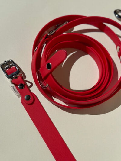 Antkaklio ir pavadėlio rinkinys RED