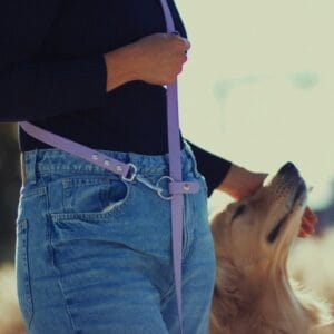 Stroberi biotano pavadelis