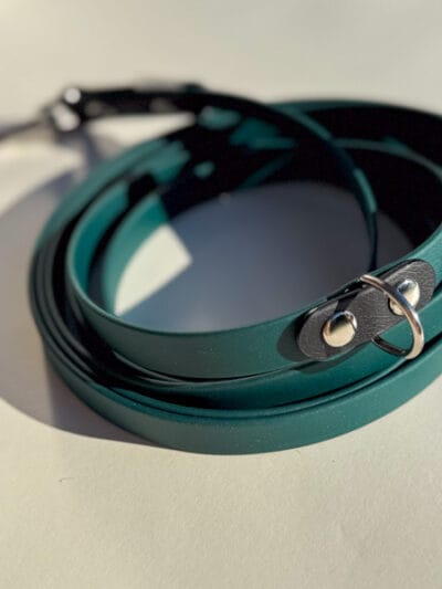 tamsus biotano pavadelis