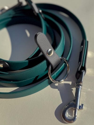 tamsus biotano pavadelis