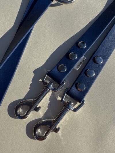 Tamsiai mėlynas biotano pavadėlis šunims.