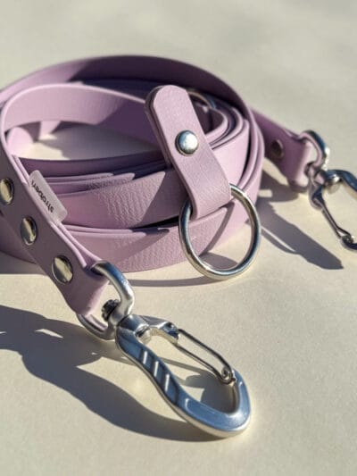 Tempiantiems šunims