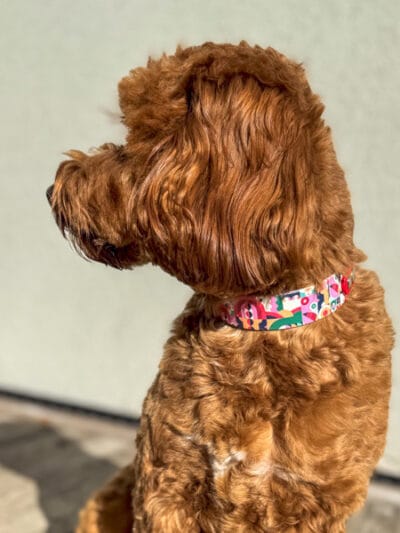 strawberry antkaklis