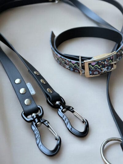 Antkaklio ir pavadėlio rinkinys RETRO