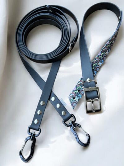 Antkaklio ir pavadėlio rinkinys RETRO