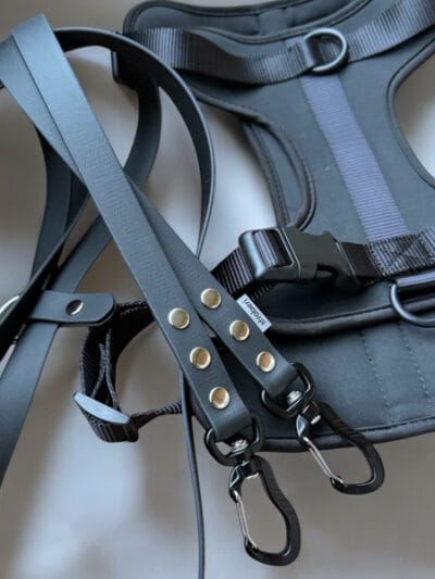 Petnešos ir pavadys