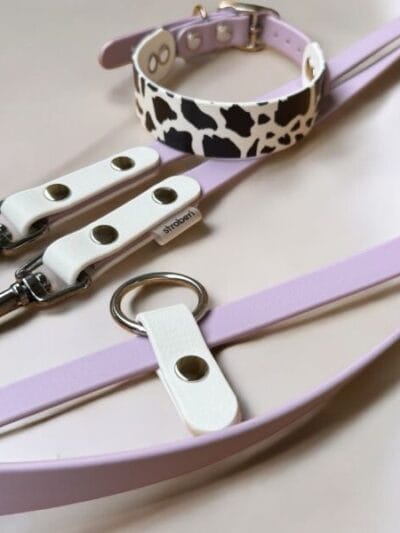 Biotano pavadėlis ir antkaklis MOO